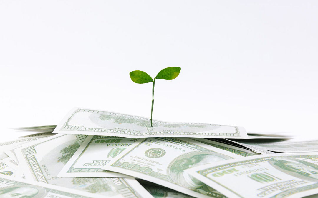 Life-changing Passive Income Opportunity in North Cyprus